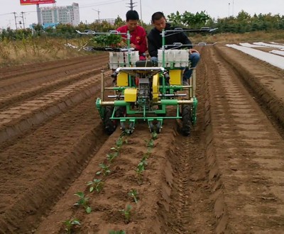 自走式雙行蔬菜移栽機