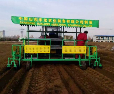 構(gòu)樹、桑樹、樹苗移栽機(jī)