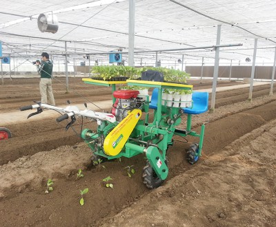 西紅柿、甜菜、甘藍移栽機