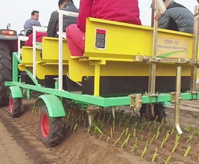 洋蔥移栽機