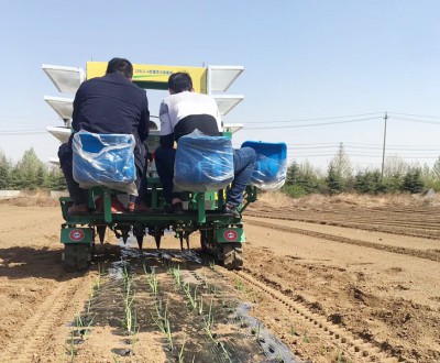 洋蔥移栽機